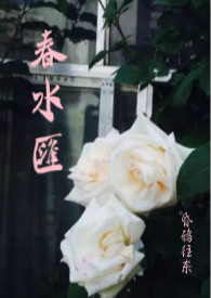 西顿野生动物故事集读后感